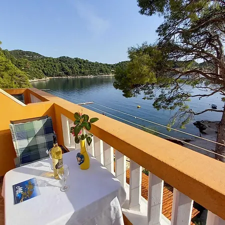 Apartament Vinko Mljet- One-bedroom With Terrace A4