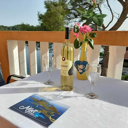 דירה Vinko Mljet- One-bedroom With Terrace A4 *