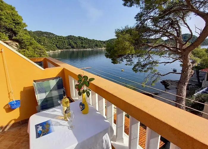 Апартаменты Vinko Mljet- One-bedroom With Terrace A4